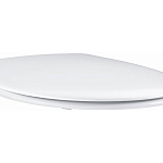 39493000 Bau Ceramic Сиденье для унитаза (с микролифтом), альпин-белый 250_100_Array